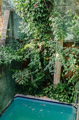 Close-up of natural wood textures and soft green foliage framing the pool’s edge under ambient lighting.