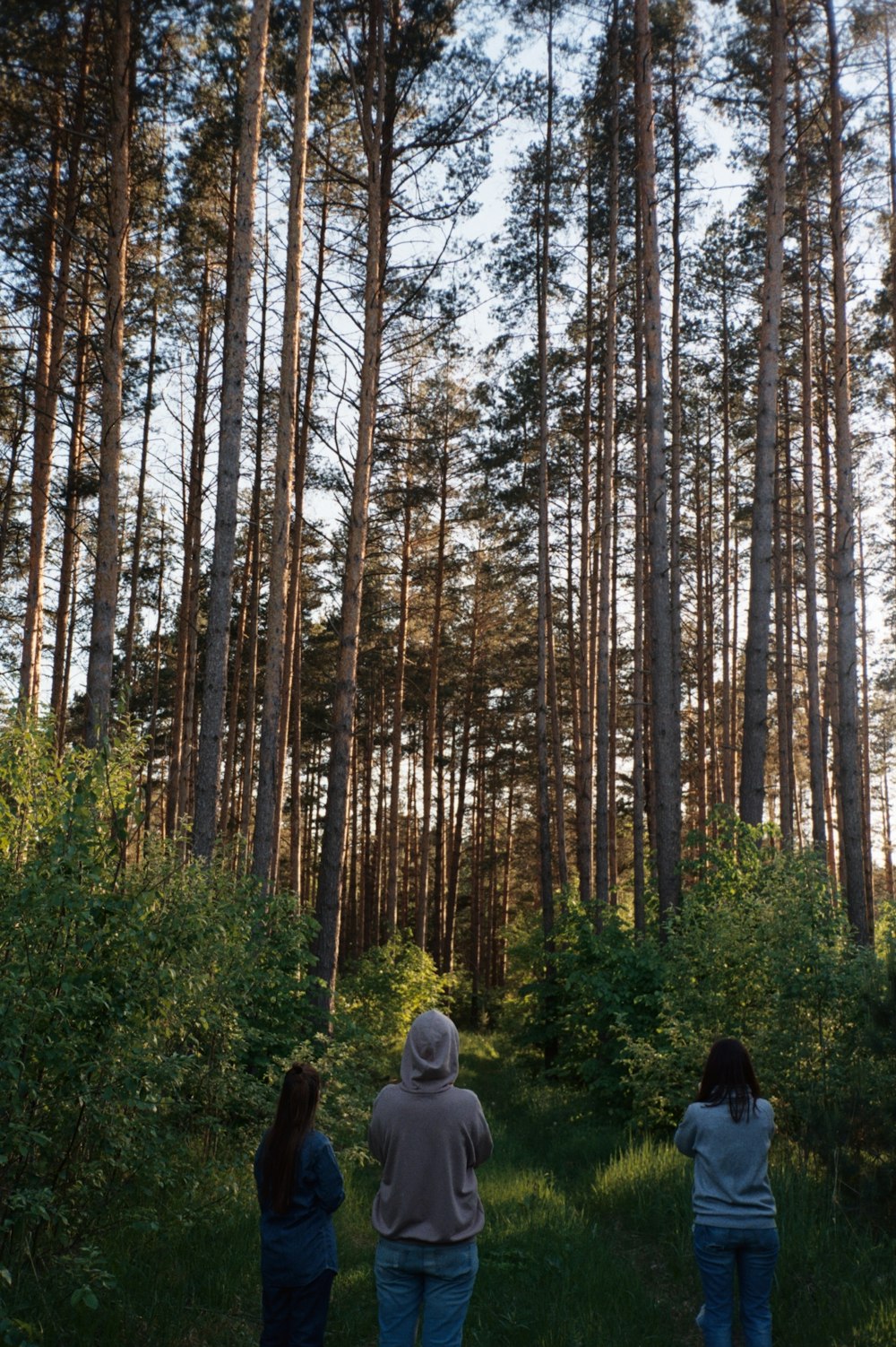 a group of people standing in the middle of a forest