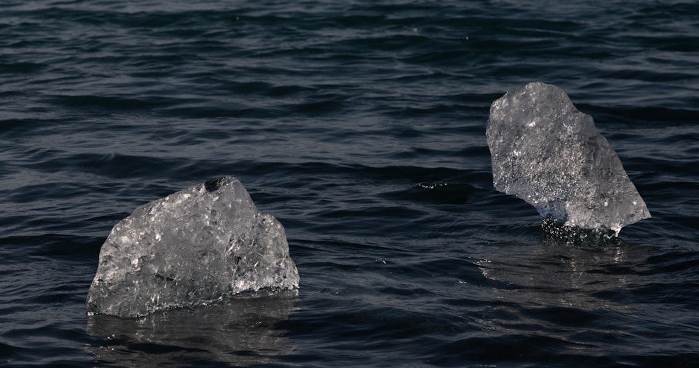 two pieces of ice floating on top of a body of water