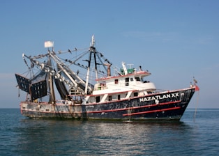 A fishing boat with the name 'Mazatlan XX' is anchored in calm waters. The boat is equipped with large nets and rigging, indicating it is used for commercial fishing. Numerous birds, possibly pelicans or cormorants, are perched on the rigging. The sky is clear, suggesting a peaceful day at sea.