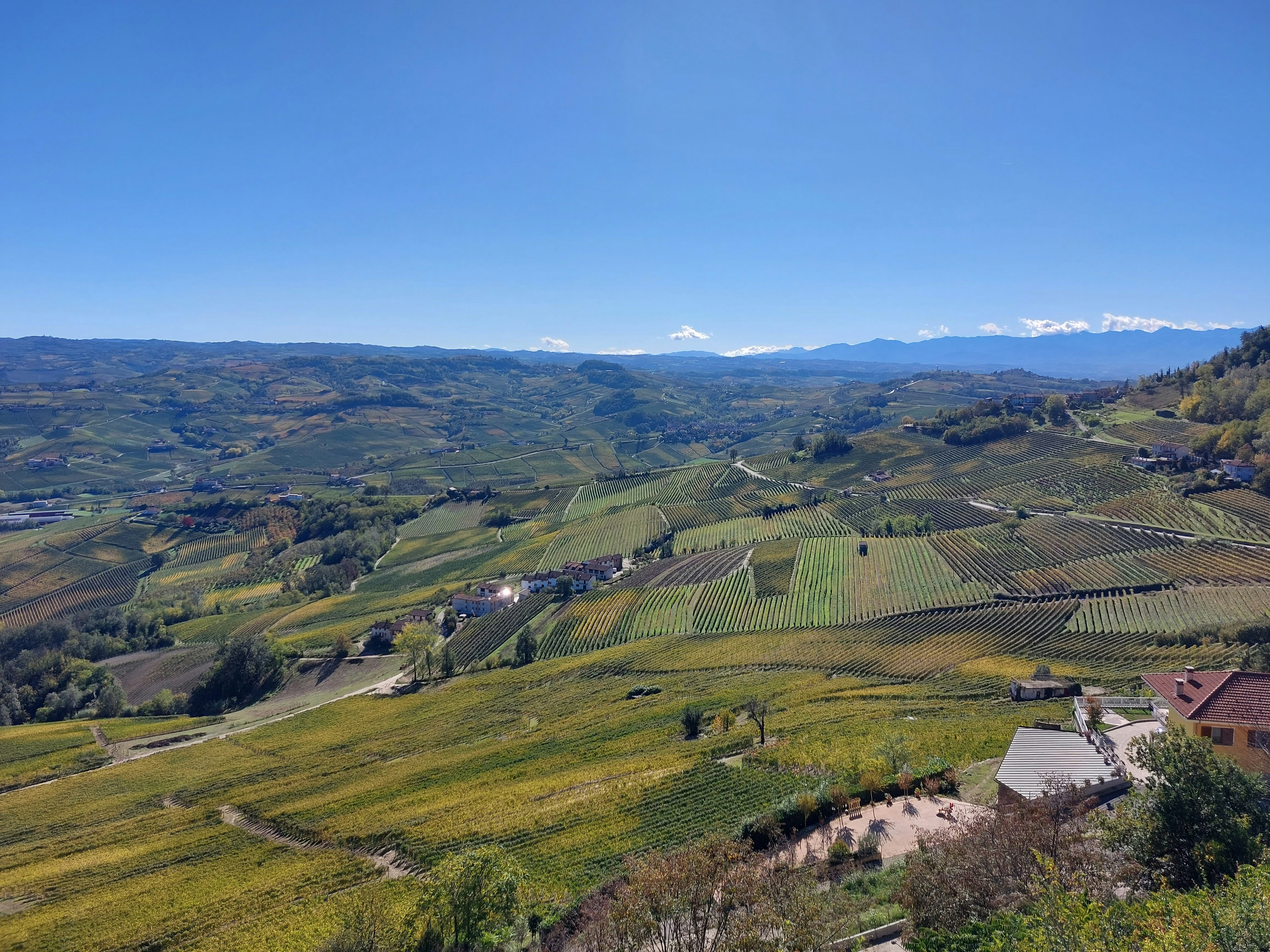 Photo by andreascanzani