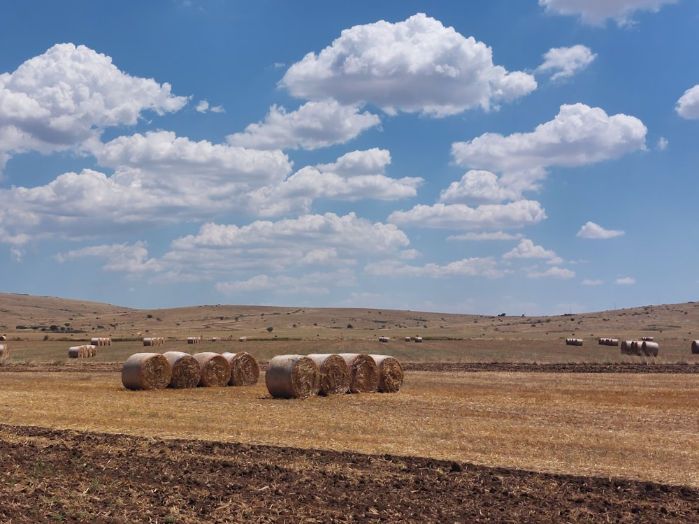 a field full of hay bales under a cloudy blue sky