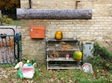 A wooden sign with engraved text is mounted on a brick wall, accompanied by an orange mailbox. Below, a wooden shelf holds pumpkins, with one carved and painted with a face. Various objects, including a painted stone with a colorful sun design, are placed around the setup, amidst some greenery and scattered leaves.