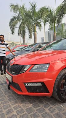 Bright red Swift hatchback parked by a sunny Goan beachside road.