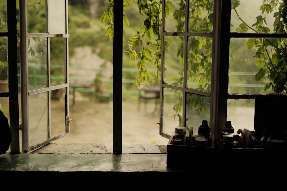 a cat sitting on a window sill in front of a window