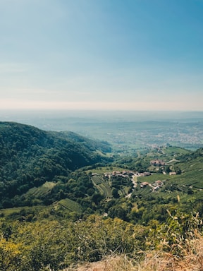 A serene view of the Douro Valley from the holiday home.