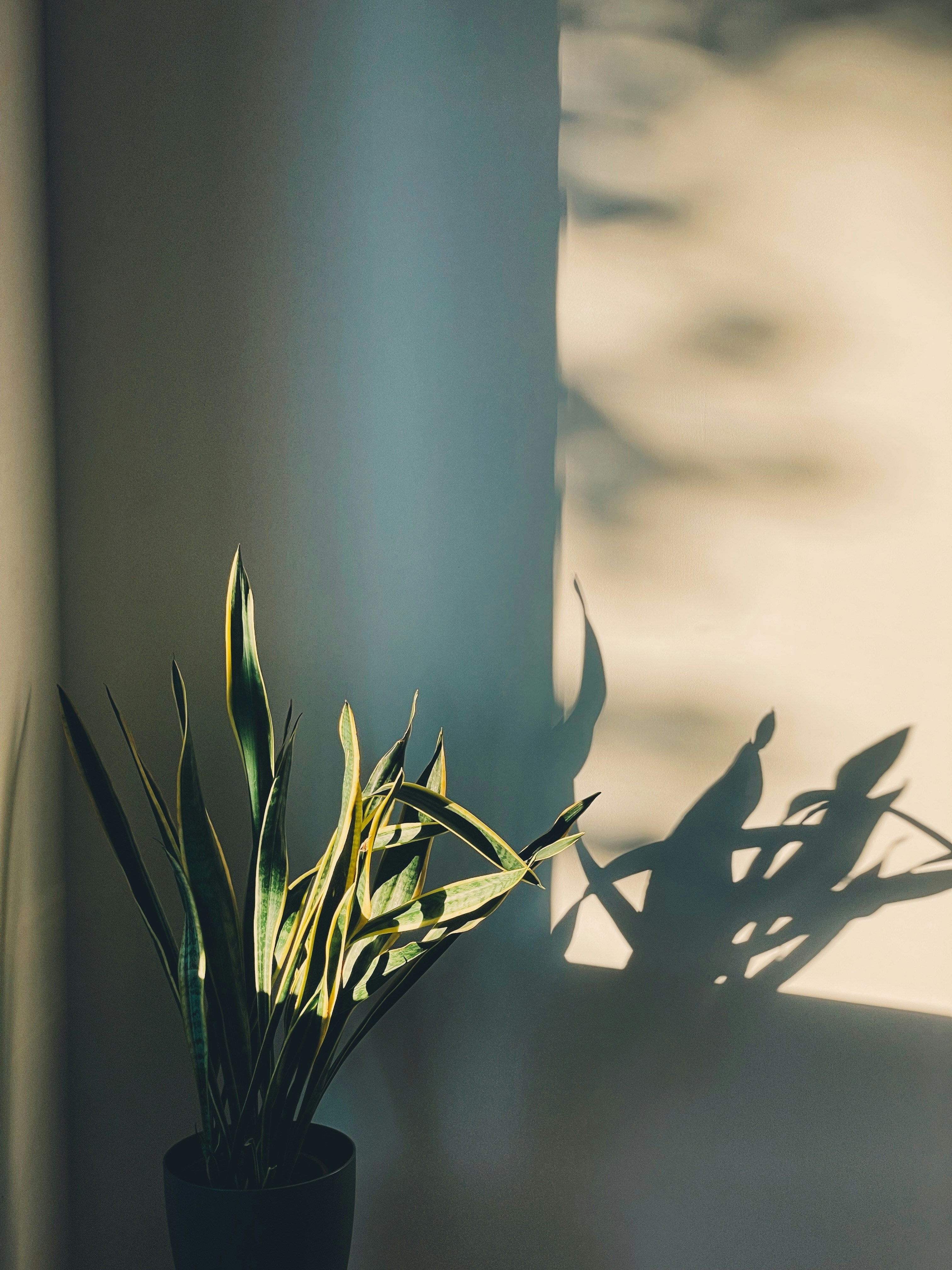 Photo by michaelmartinelli