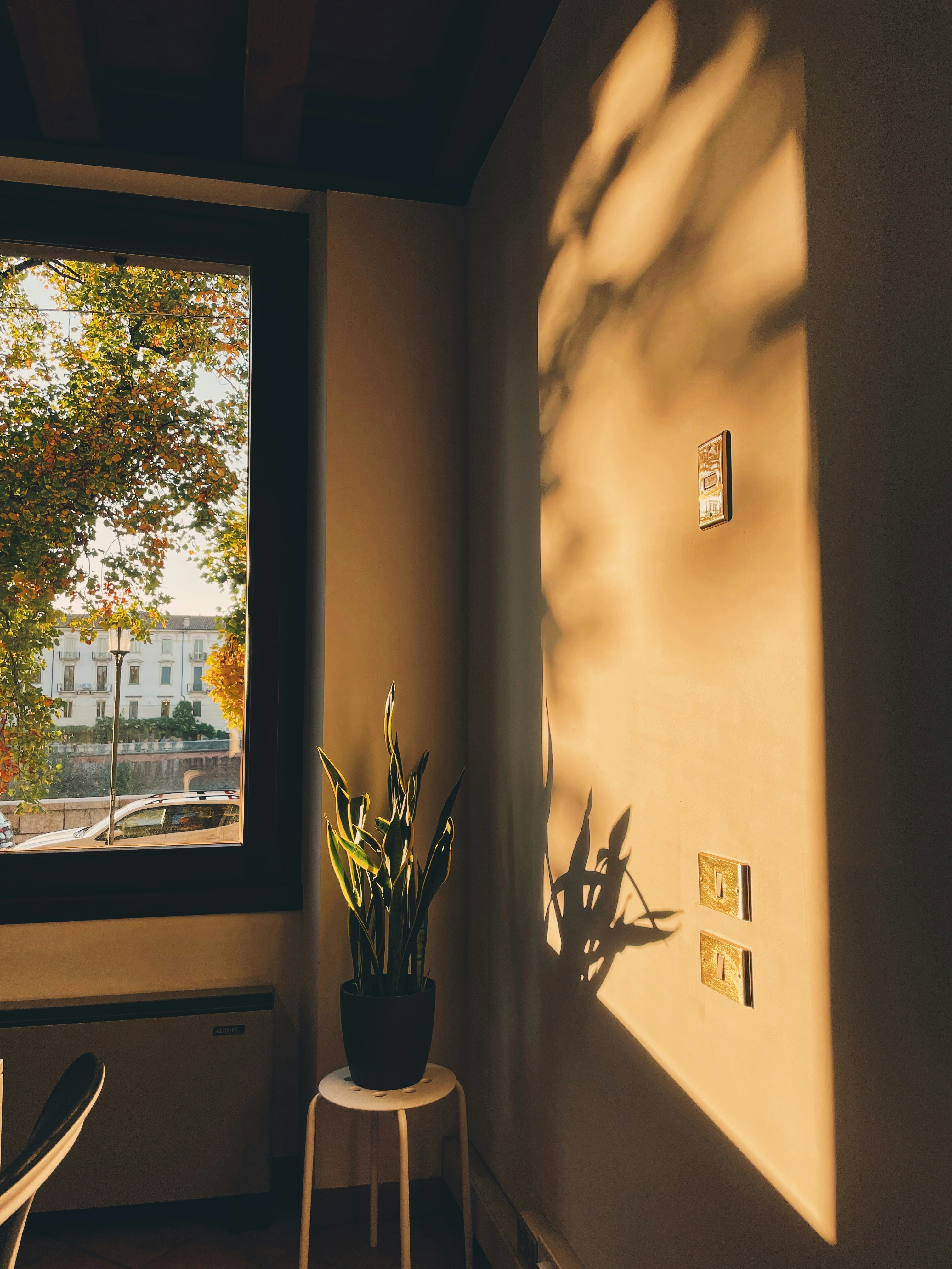 Photo by michaelmartinelli