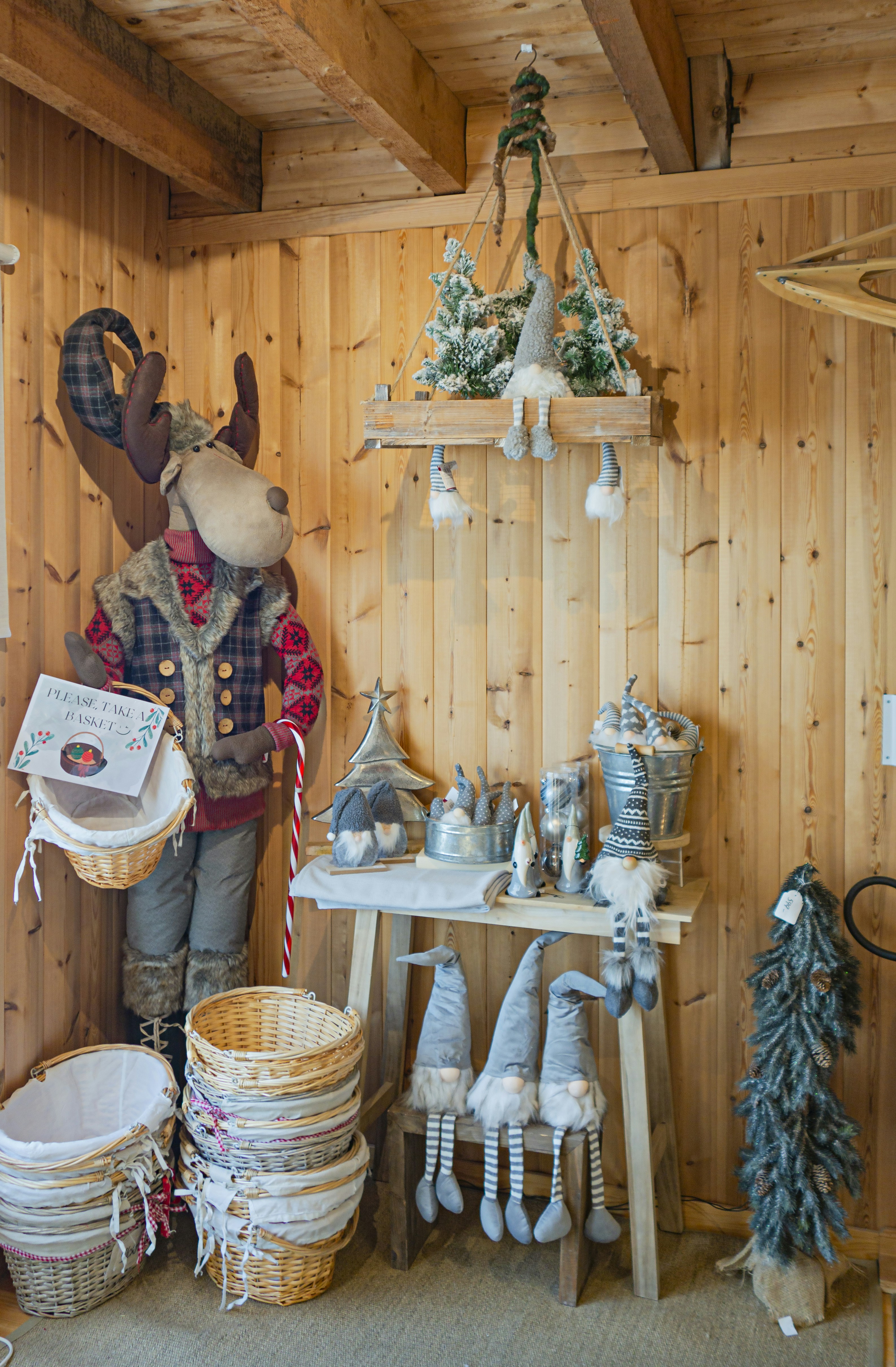 Meet Jasper the Dreamer