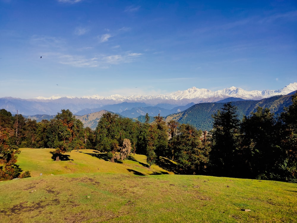 a grassy field with mountains in the background