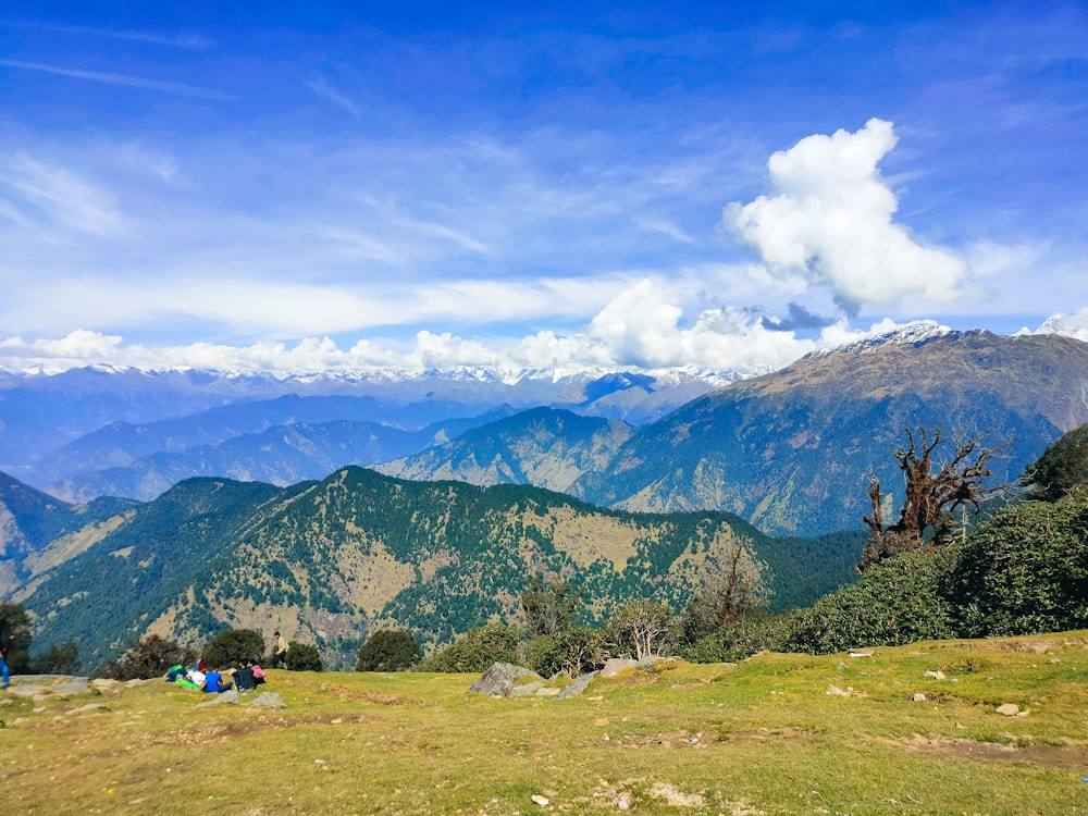 a group of people sitting on top of a lush green hillside