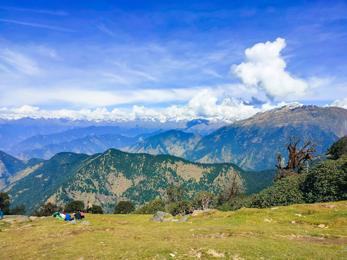 Chopta — photo 2