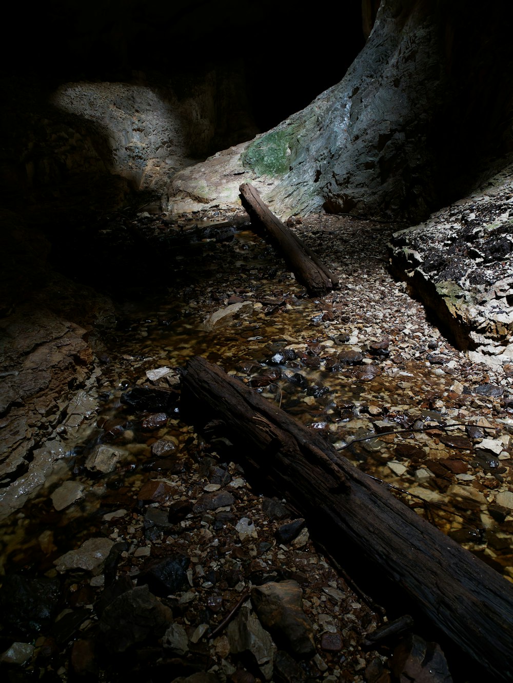 a fallen tree laying on the ground in a cave