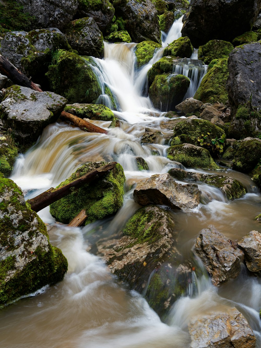 a stream of water running through a lush green forest