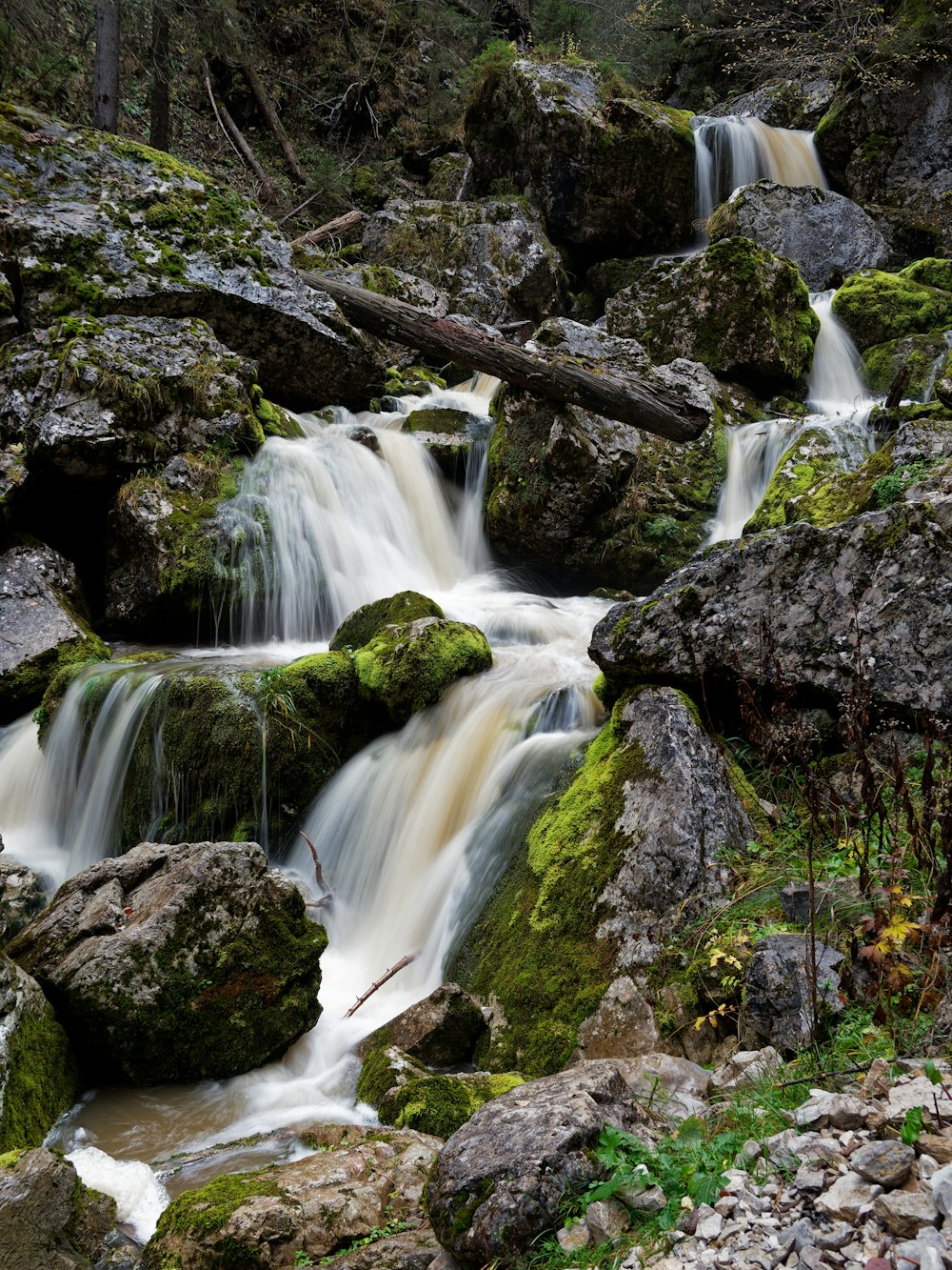 a small waterfall in the middle of a forest