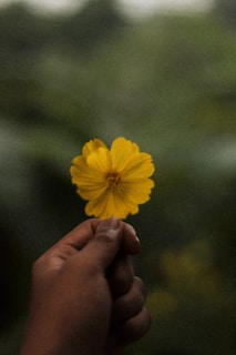 Hands gently holding a bright yellow crochet sunflower keychain against a blurred background