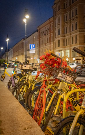 Evening shot of rental bikes parked neatly with the Jagannath Temple illuminated in the distance.