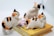 Three small, colorful cat figurines are positioned atop a closed book. The cats are animated in various playful poses. The book appears to be written in a language other than English, with some text visible on the cover. The background is minimal and out of focus, ensuring the primary focus remains on the figures and the book.