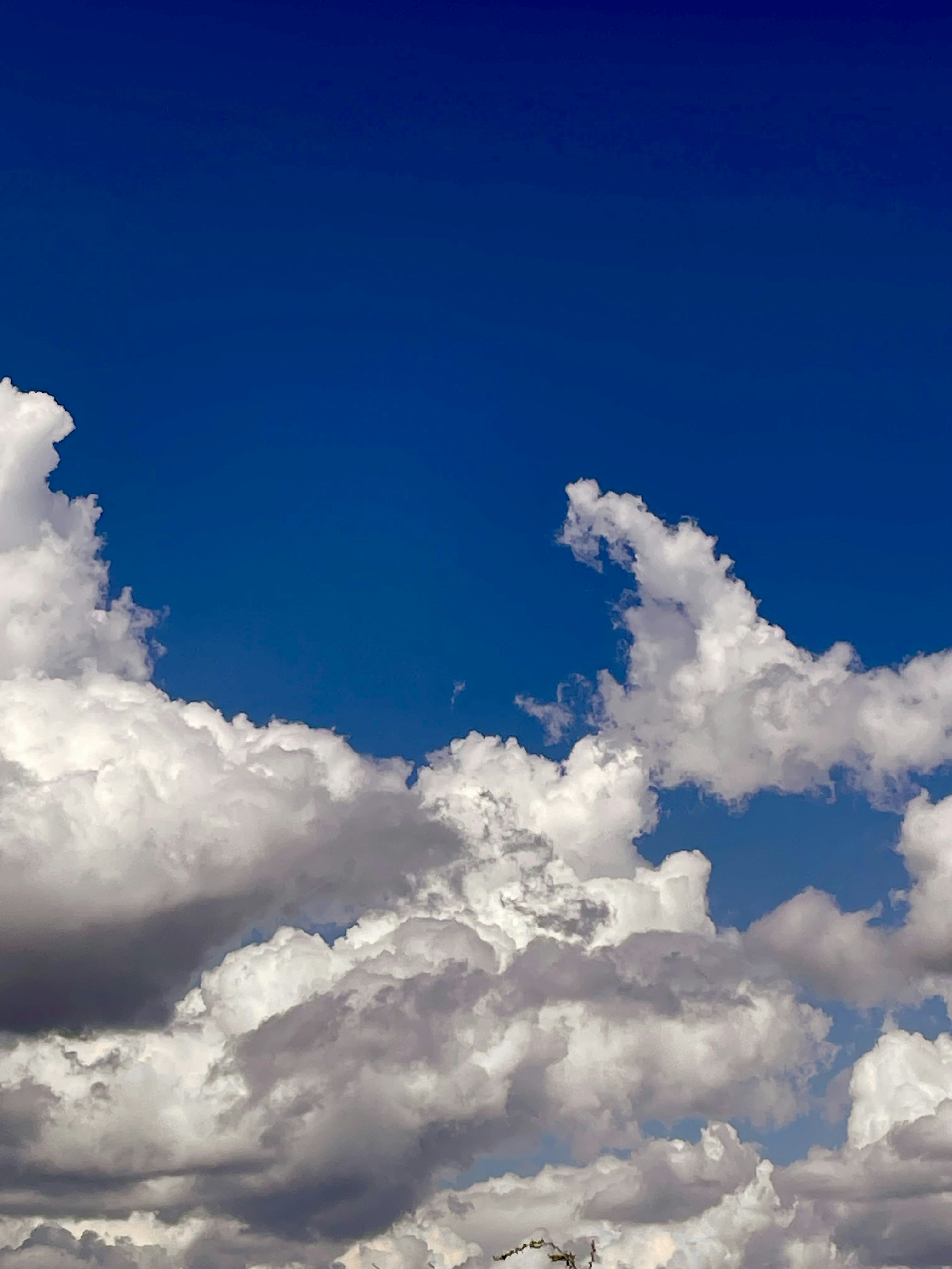 Photo by nataliazuritta