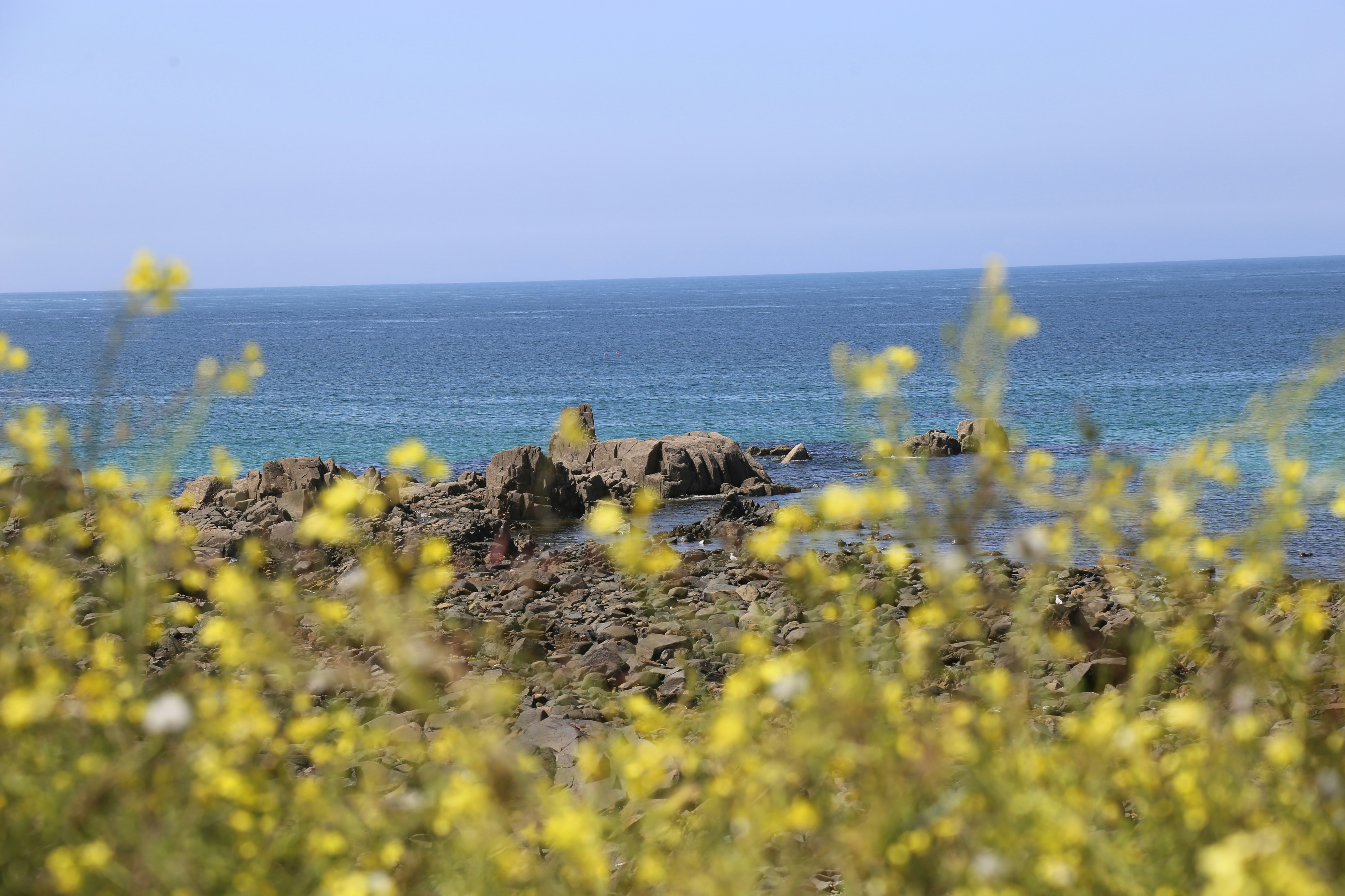 a view of the ocean from a rocky shore