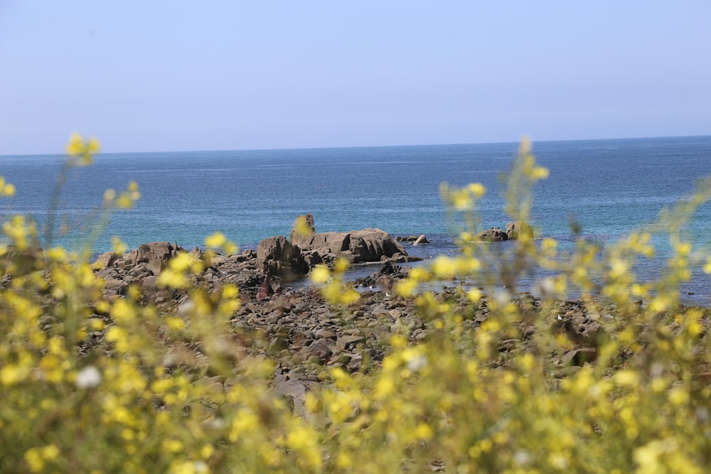 a view of the ocean from a rocky shore