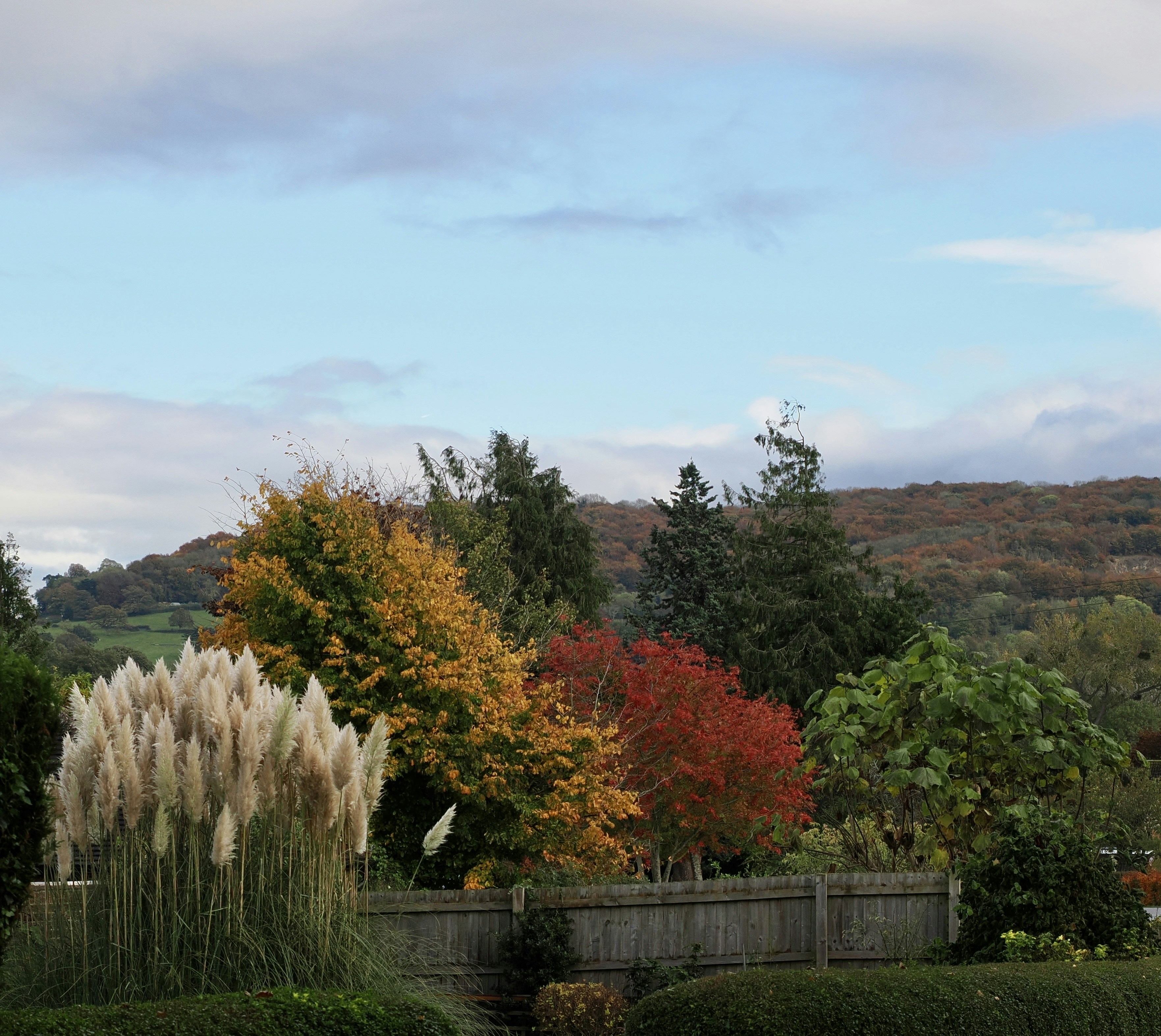 Bank Gardens