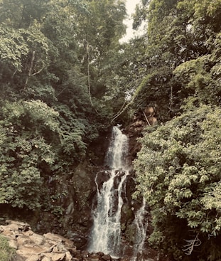 a group of people standing in front of a waterfall