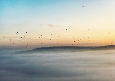 A serene nature scene with birds flying at dawn, evoking tranquility.