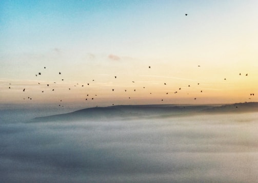 A sunrise over a peaceful landscape with doves flying in the sky.