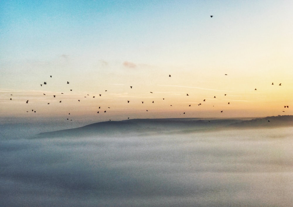 a flock of birds flying over a foggy mountain