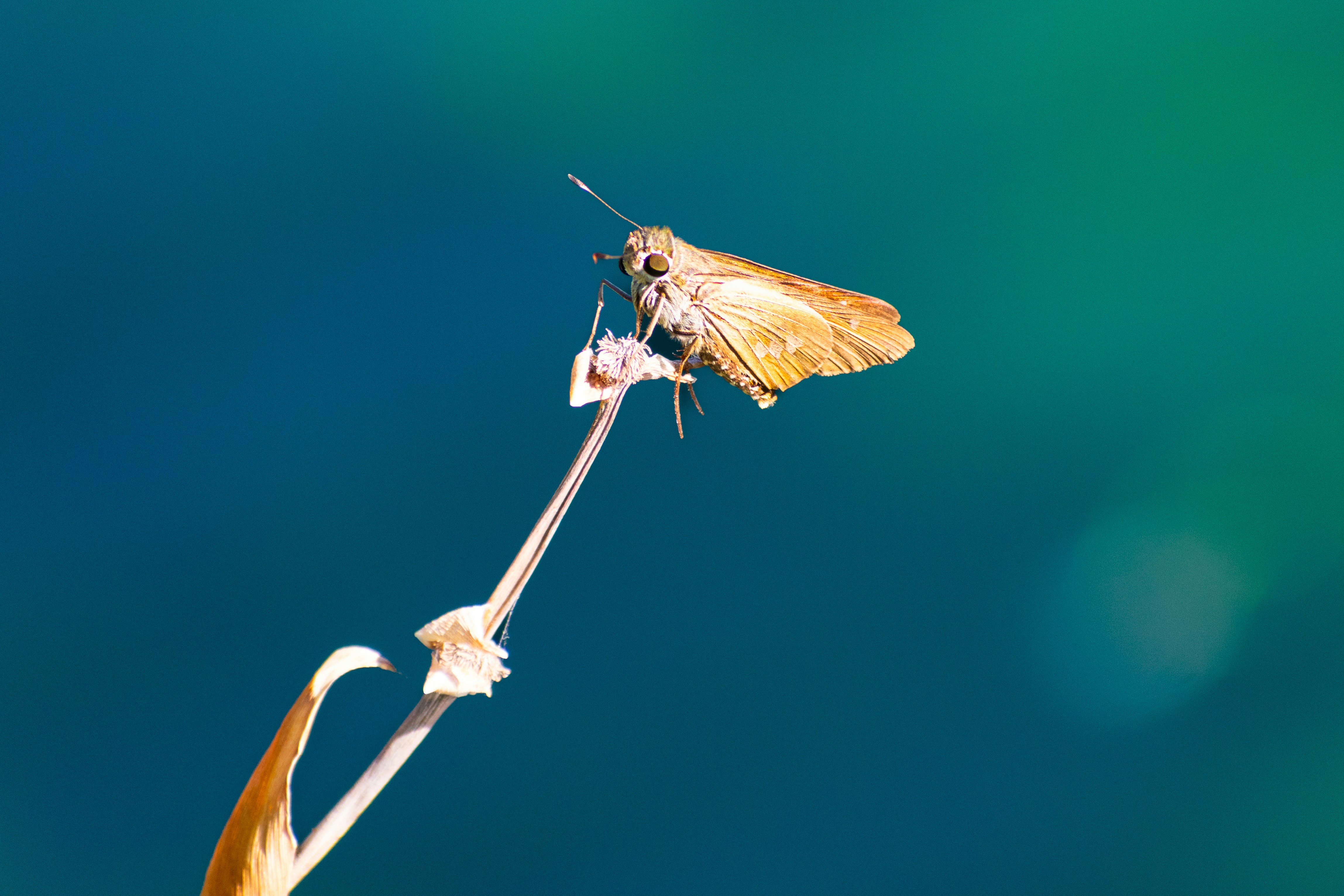 Photo by probablyrobin