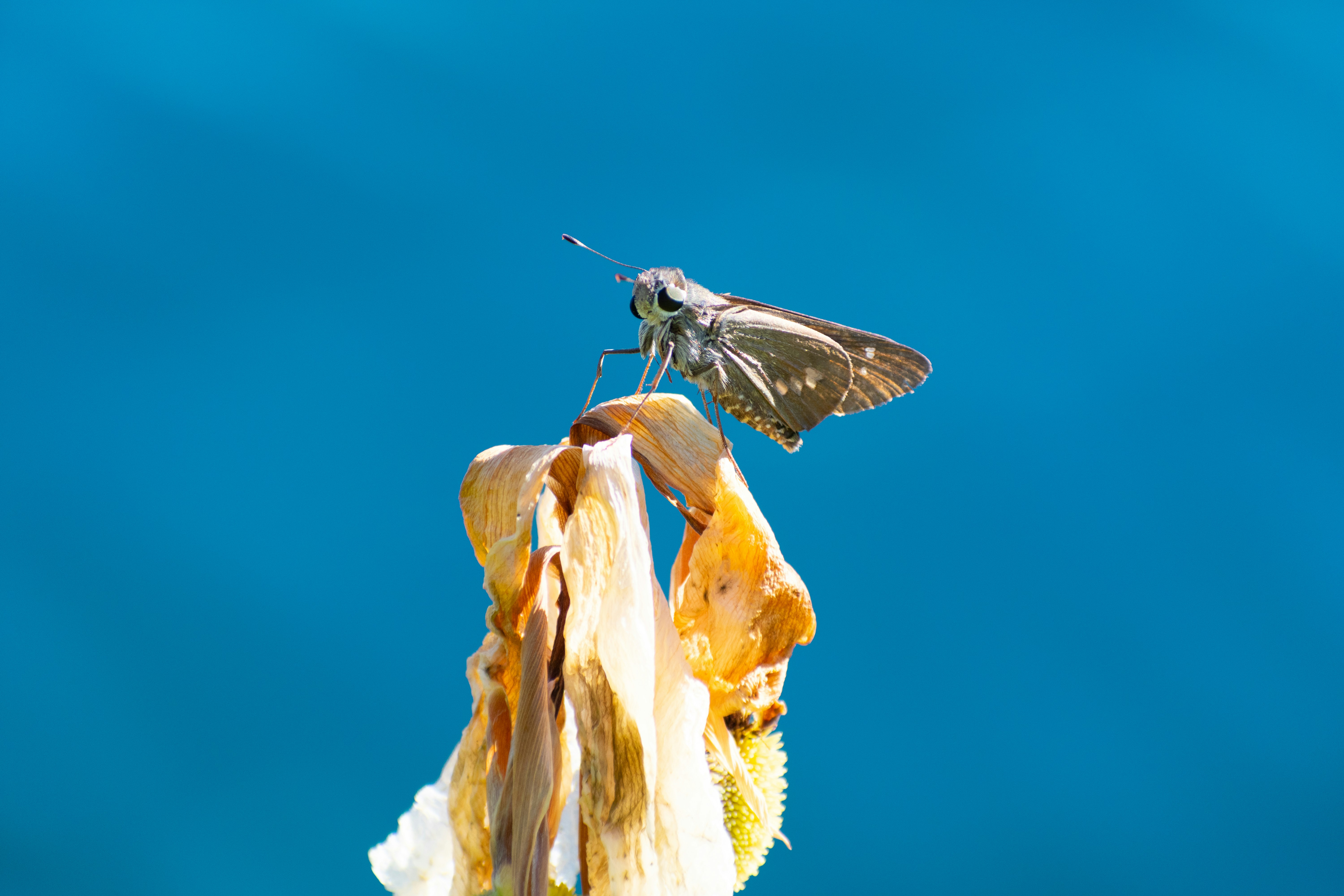 Photo by probablyrobin