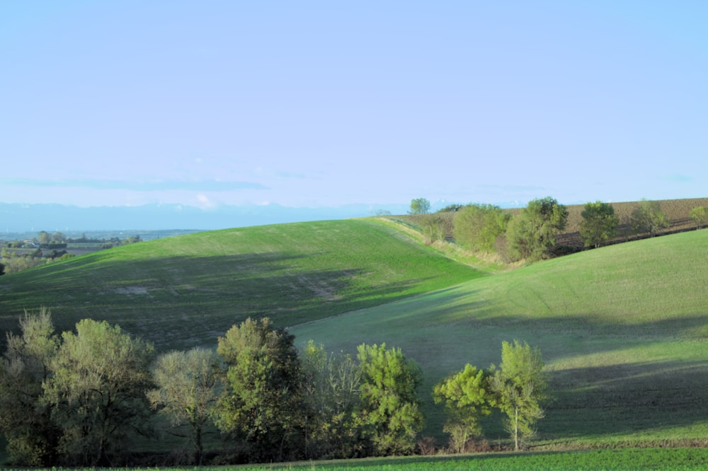 a green field with trees and a hill in the background