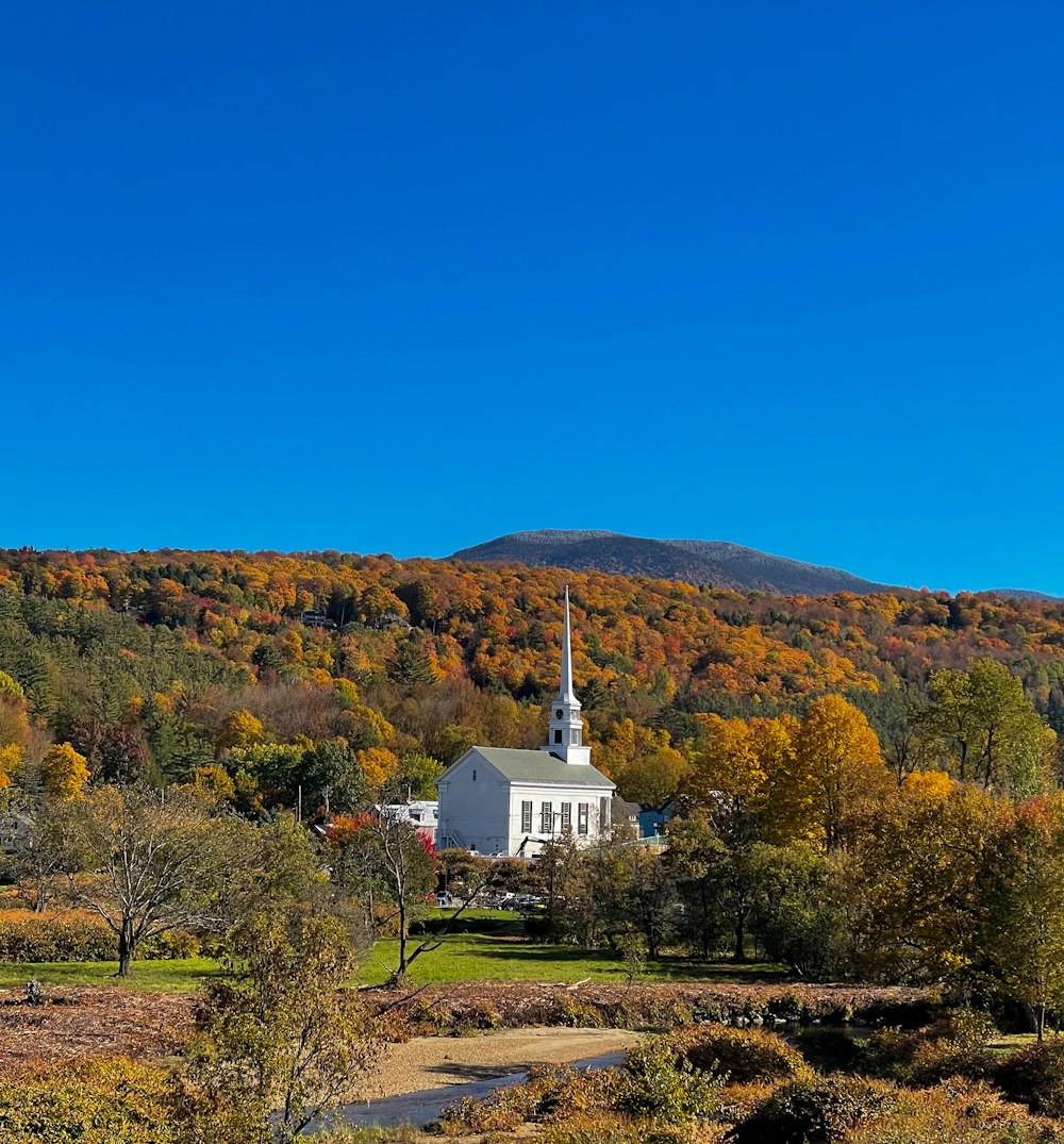 a church in the middle of a field with a mountain in the background