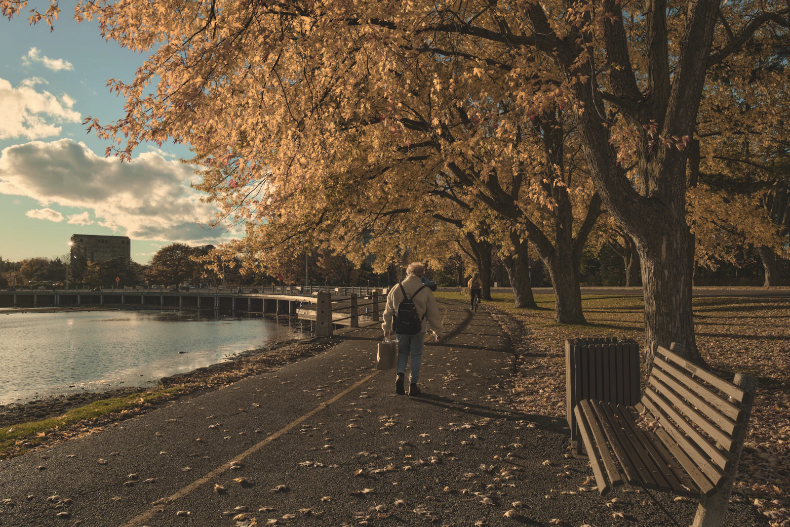 A person walking alone along a quiet path beside a lake