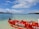 A small red boat with 'Airtel Money' branding is anchored on clear, shallow waters near a serene beach. The ocean stretches out to the horizon, with a backdrop of lush green trees on a distant island. The sky above is partly cloudy, adding depth to the tranquil setting.