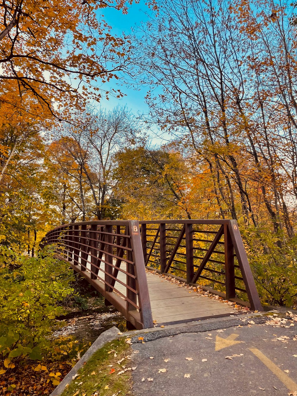 un puente de madera sobre un río rodeado de árboles