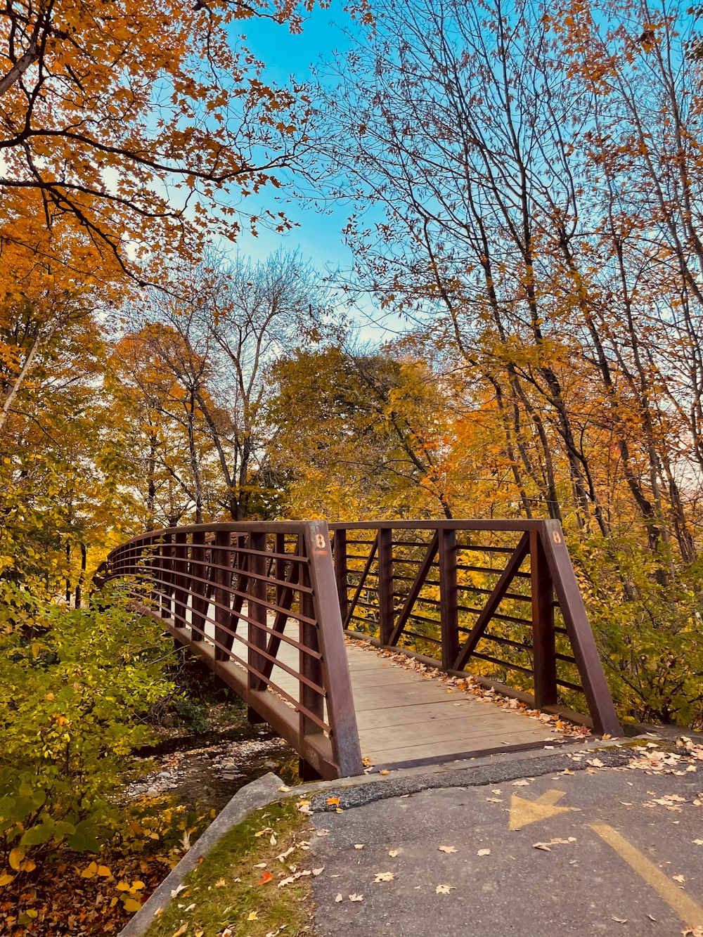 a wooden bridge over a river surrounded by trees