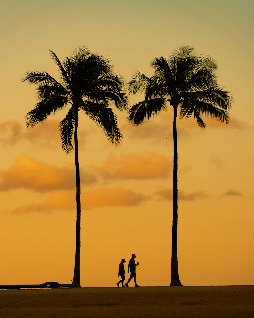 a couple of people walking down a beach next to two palm trees