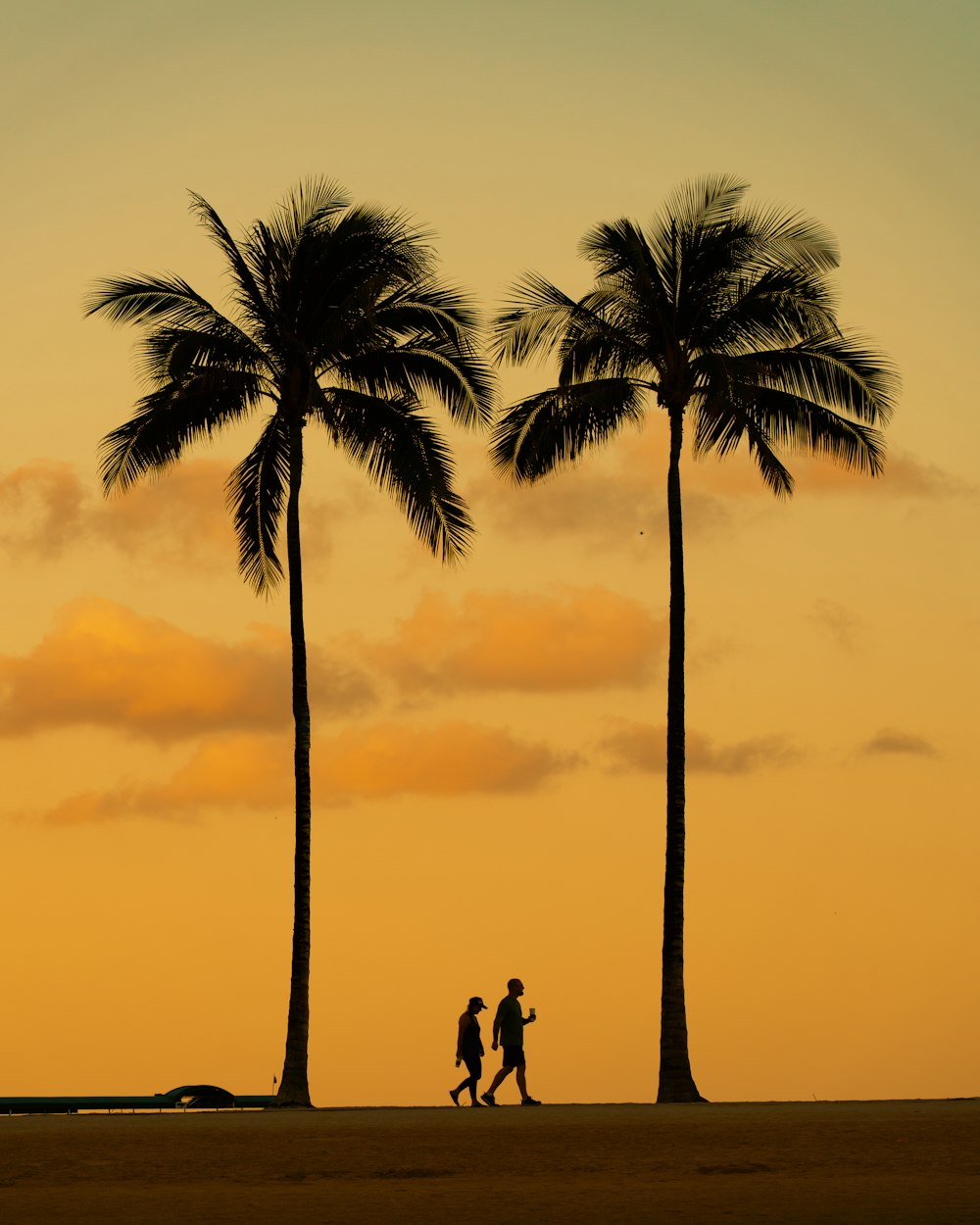 Un par de personas caminando por una playa junto a dos palmeras