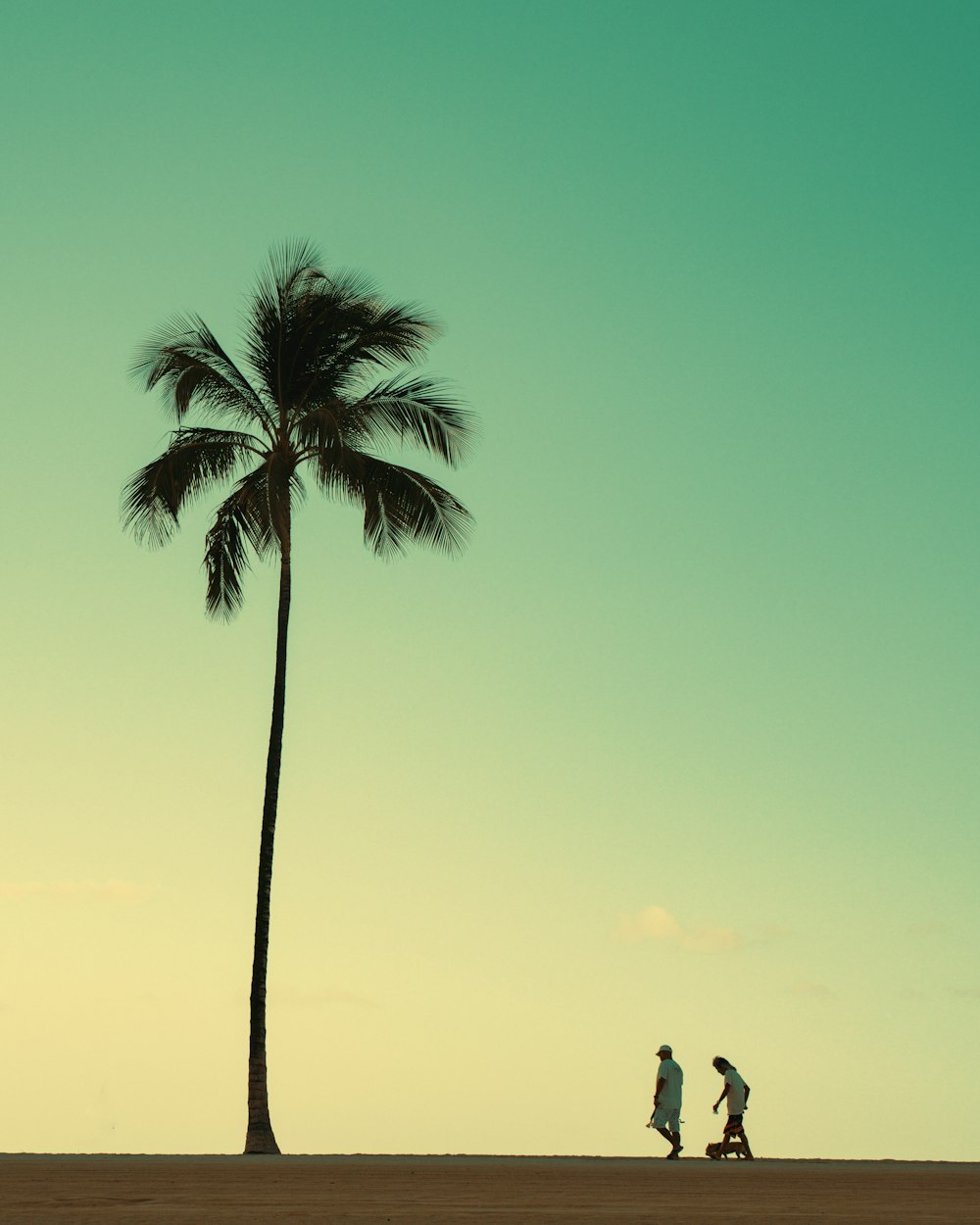 a couple of people walking down a beach next to a palm tree