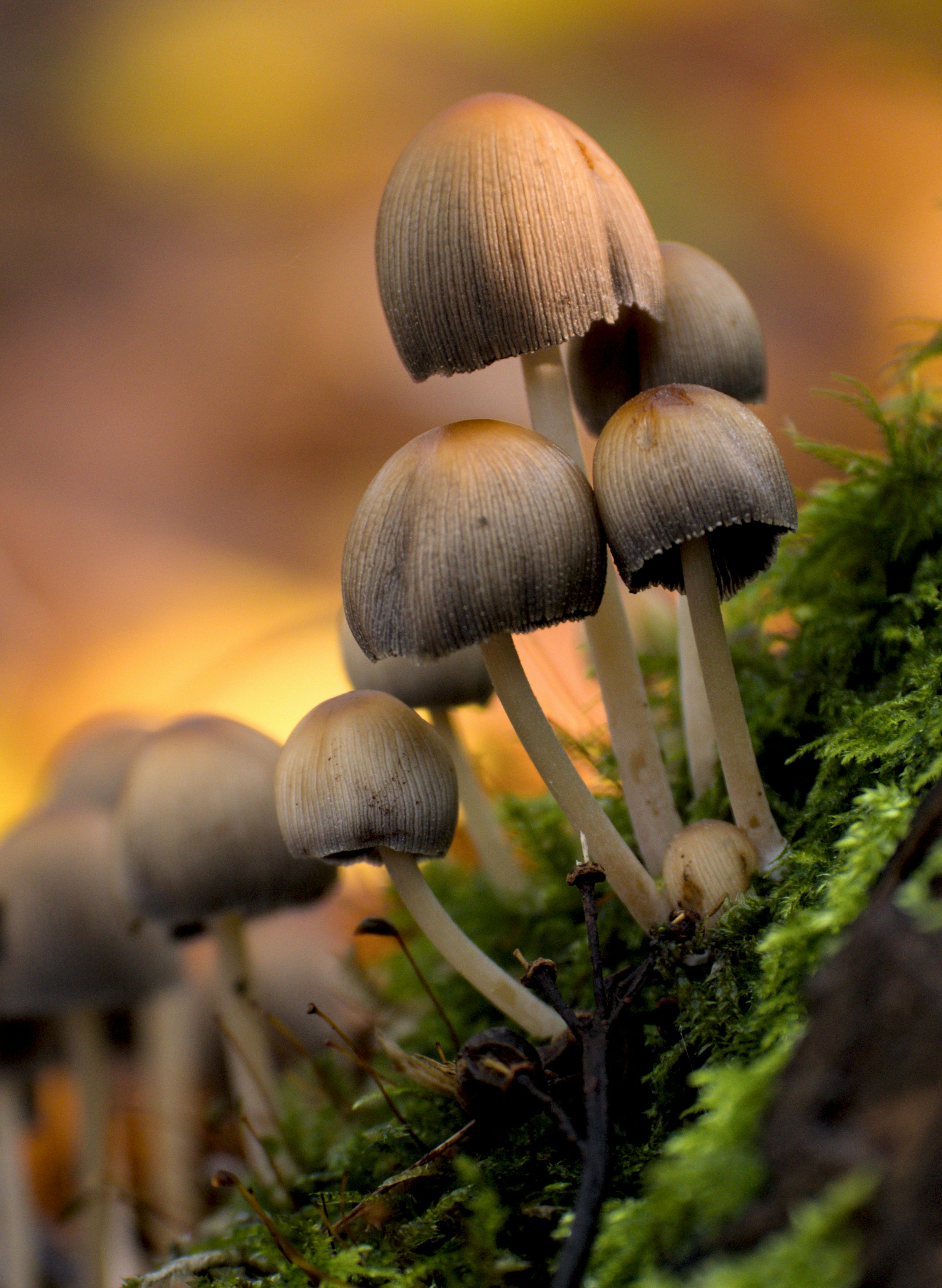 Photo by bryan151055