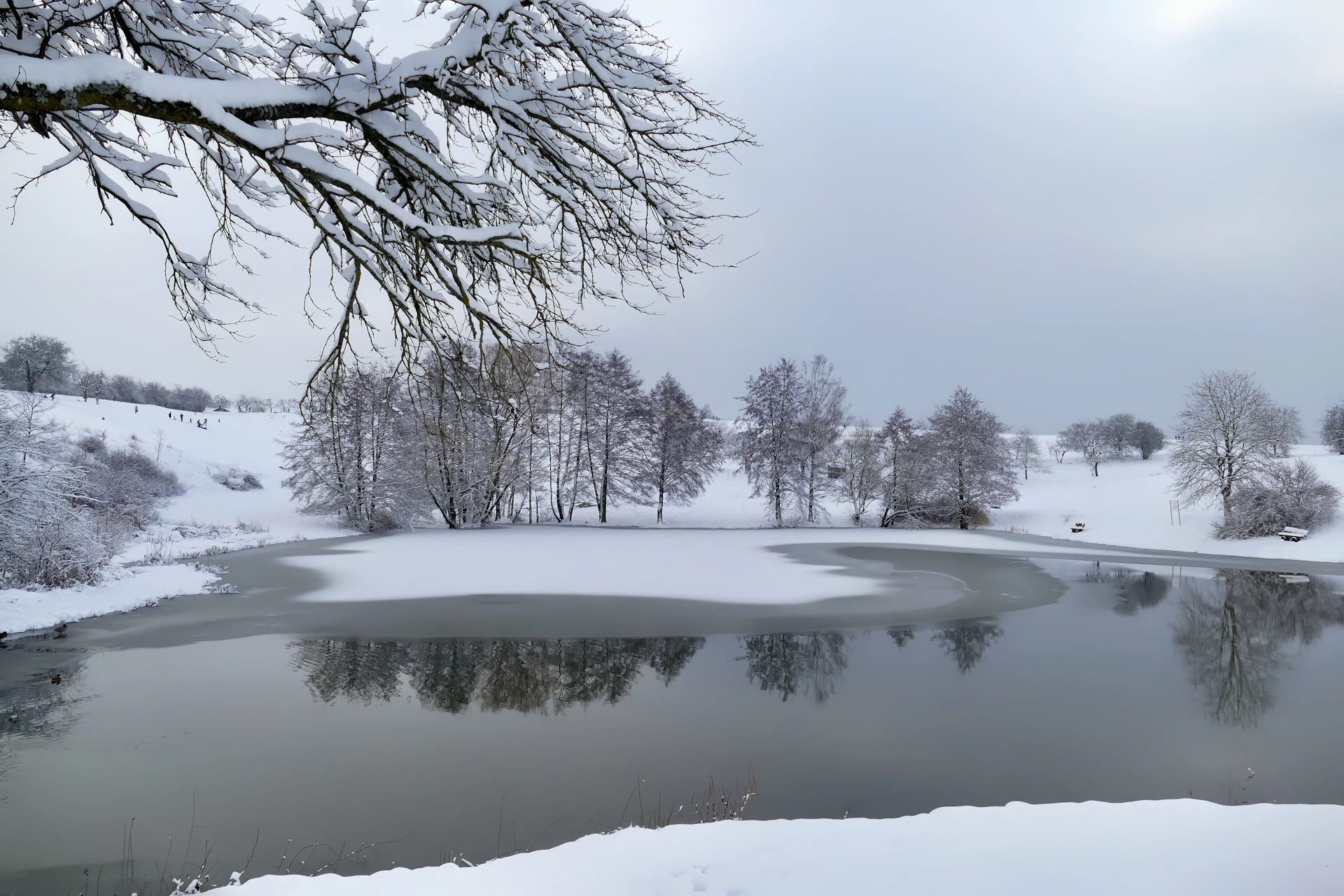 a lake surrounded by snow covered trees in a park