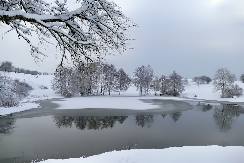 a lake surrounded by snow covered trees in a park
