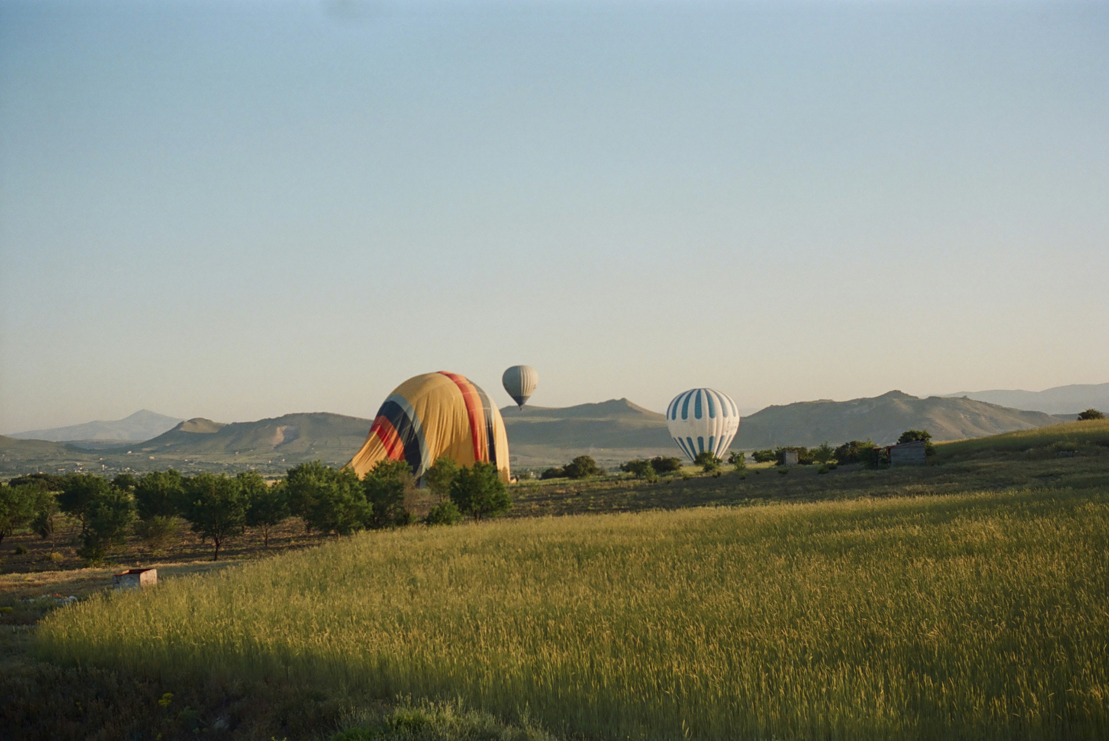 Foto zum Thema Drei Heißluftballons fliegen über eine saftig grüne ...