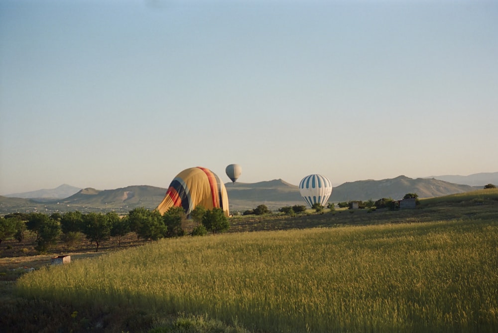 three hot air balloons flying over a lush green field