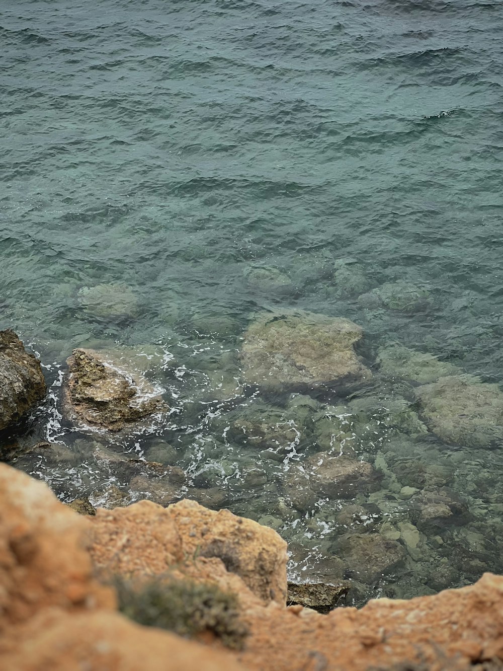 a bird is sitting on a rock near the water