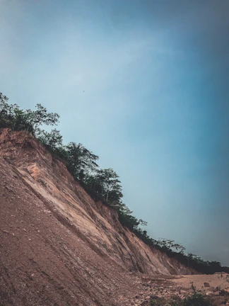 A freshly cleared hillside revealing rich soil and trimmed brush under a bright sky.