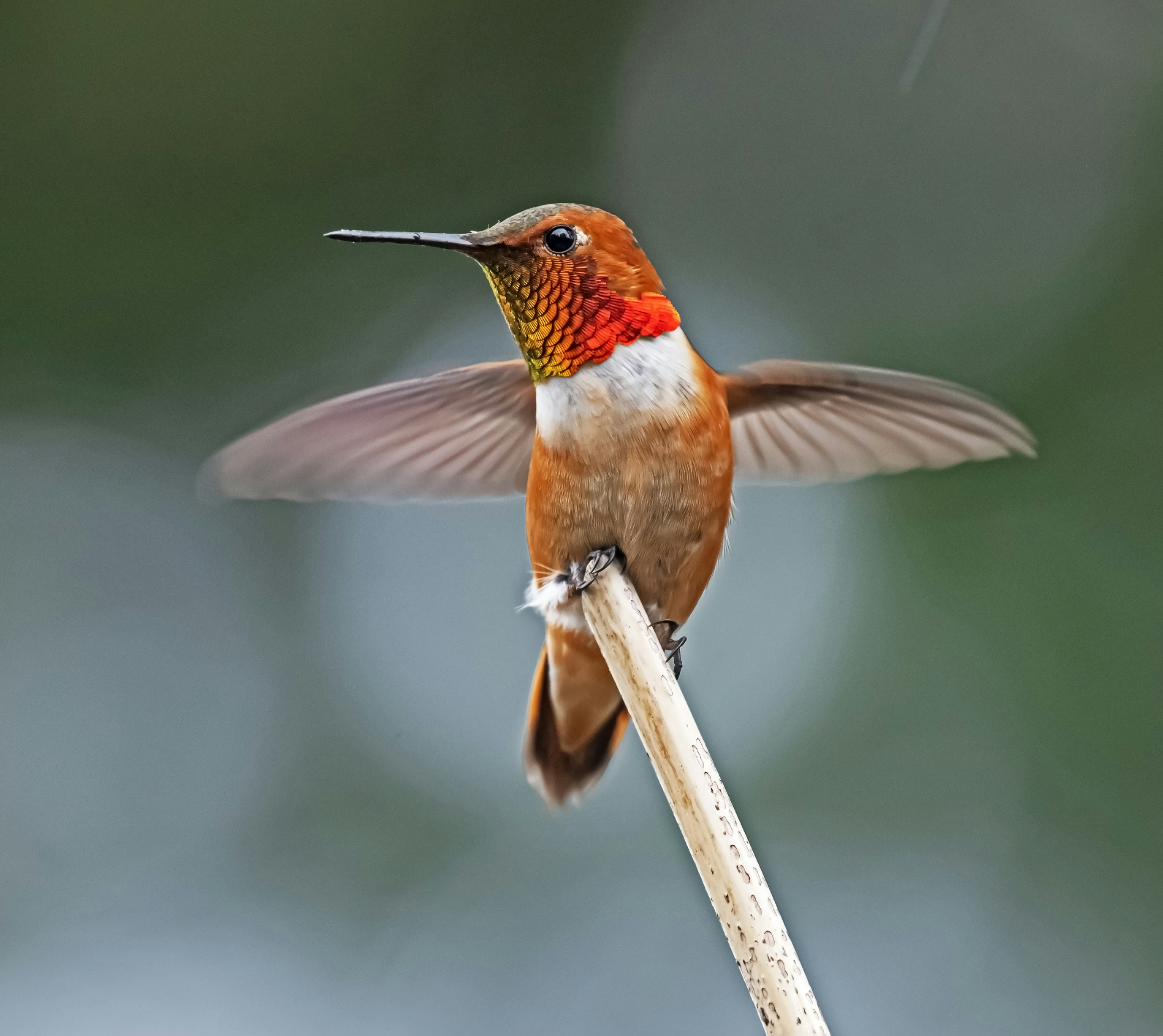 Photo by pennell_zack