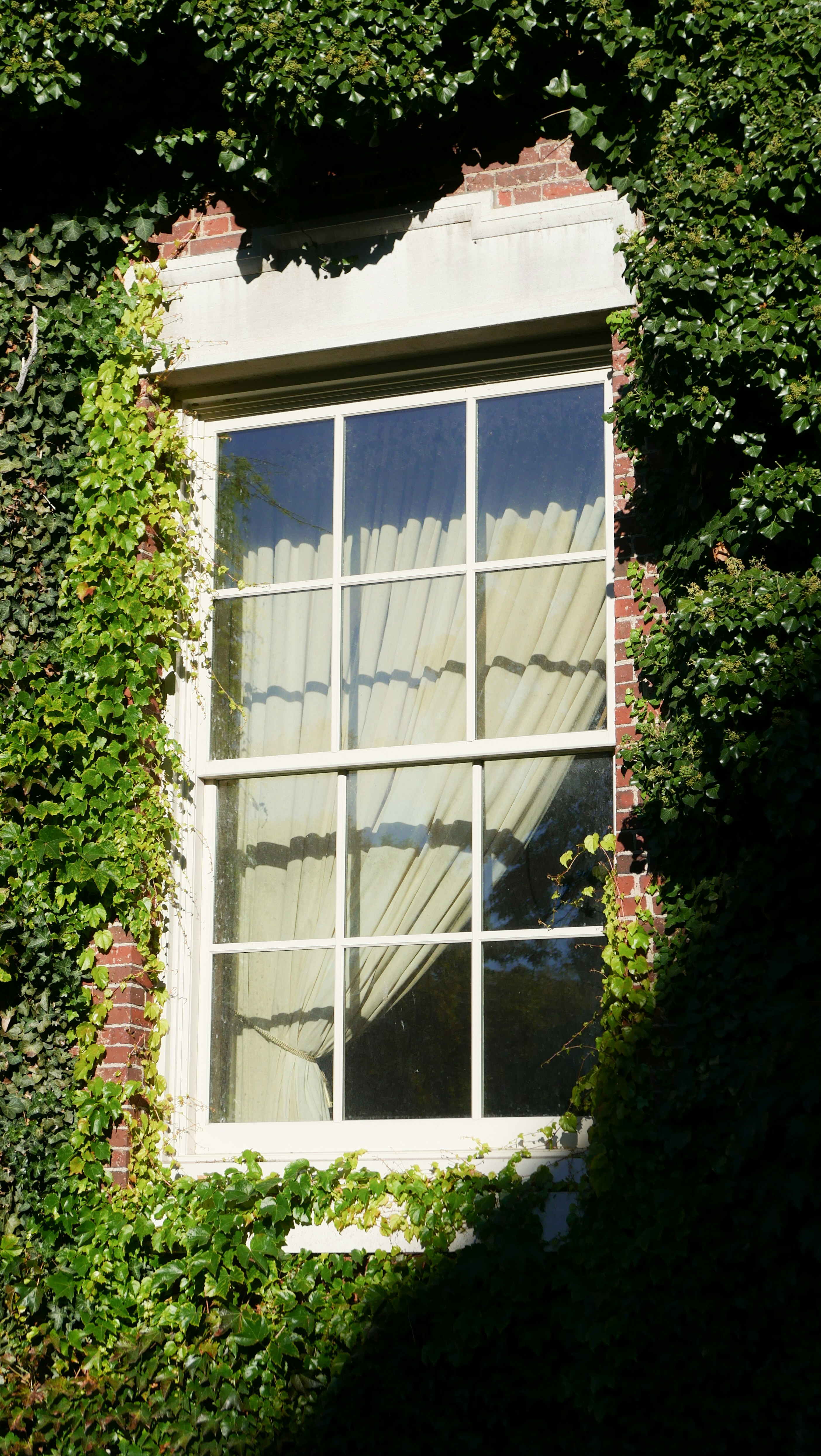 Photo by parkerwichelmann